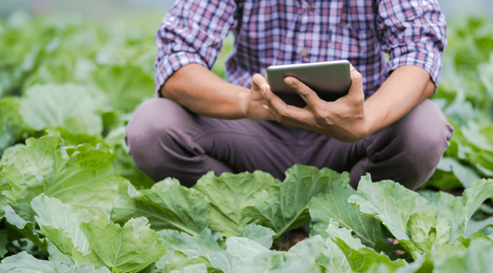 Lancement du PEPR « Agroécologie et numérique » doté d'une enveloppe de 65 millions d'euros