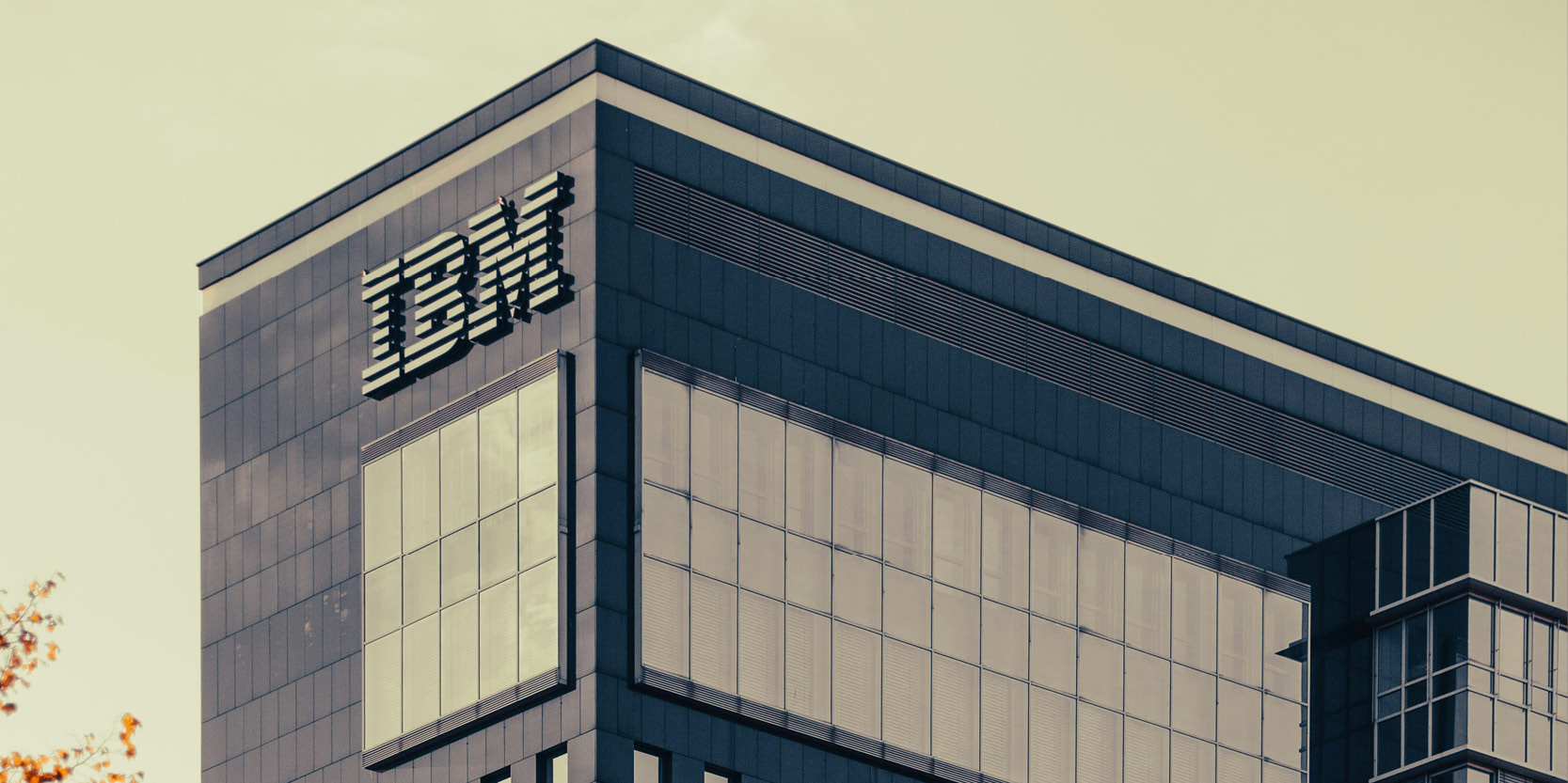 Le leadership féminin à l'ère de l'IA : un impératif commercial, stratégique et sociétal selon IBM EMEA