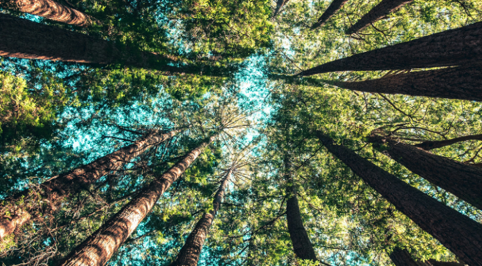 IA Eco-Pilot, lauréat de l’AAP «Démonstrateurs d’IA frugale dans les territoires pour la transition écologique»